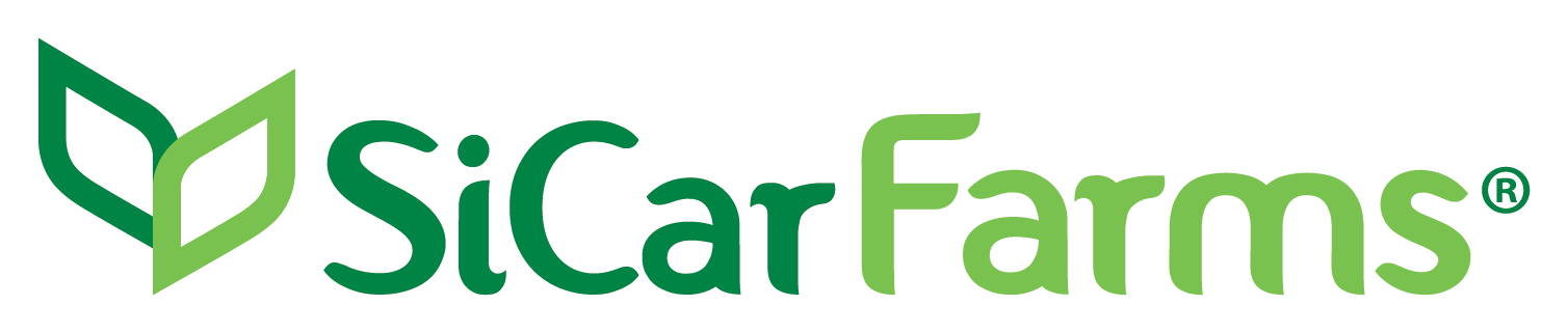 SiCar_LogoPDF (1)